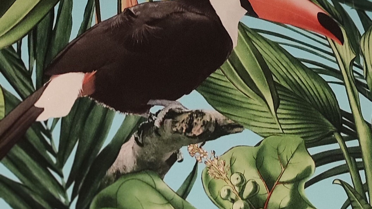 Photo of Others in Montceau-les-Mines