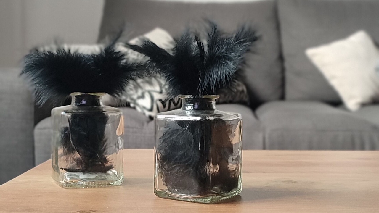 Photo of Livingroom in Montceau-les-Mines