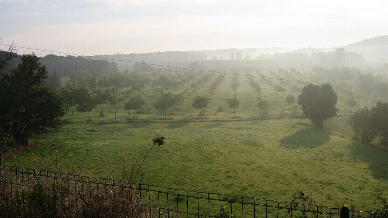 Photo of Others in Noailles