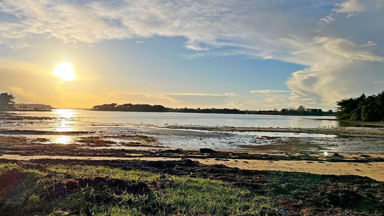 Photo of Others in Locoal-Mendon