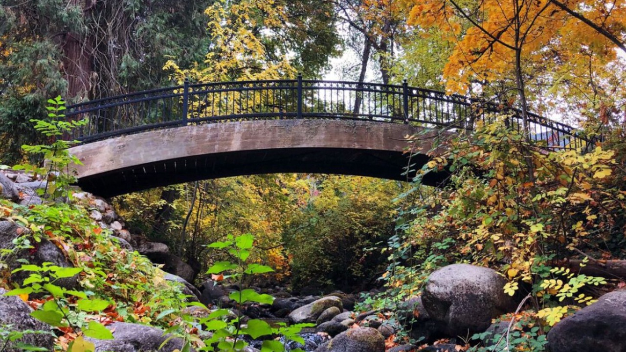 Photo of Others in Historic Railroad District