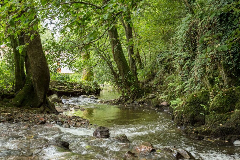 Photo of Others in Saint-Pierre-le-Vieux