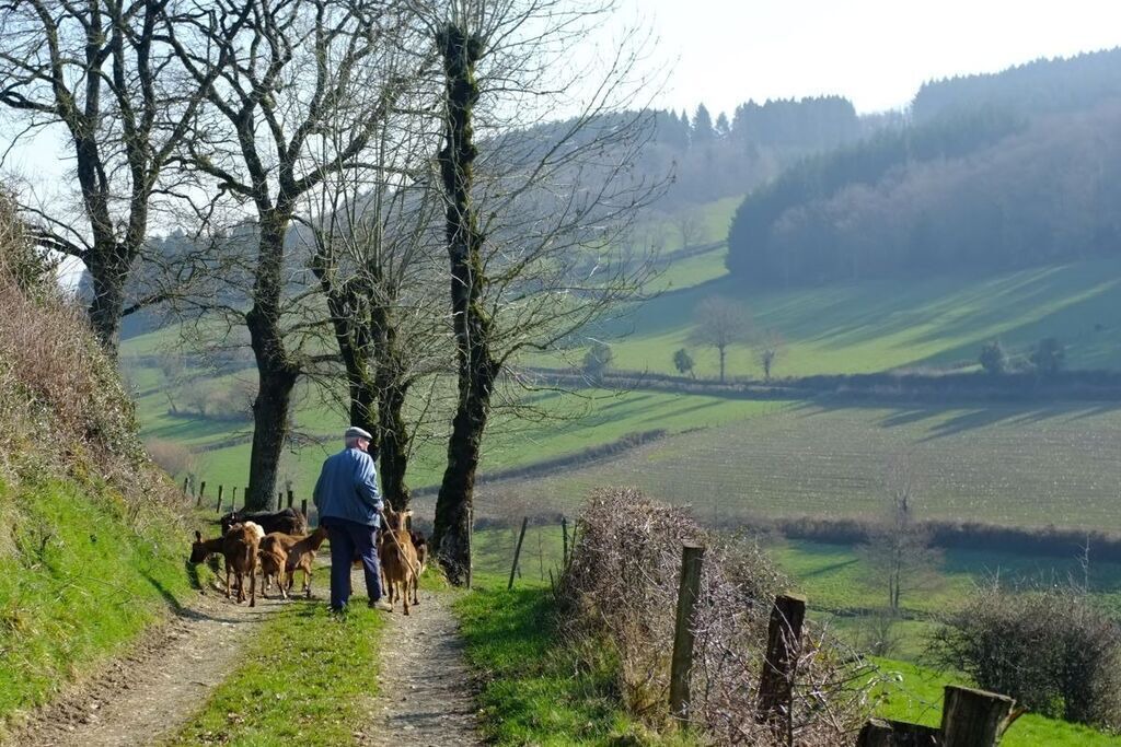 Photo of Bathroom in Saint-Pierre-le-Vieux