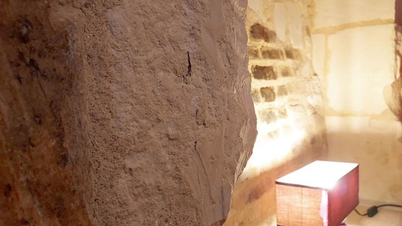 Photo of Others in Bourgueil