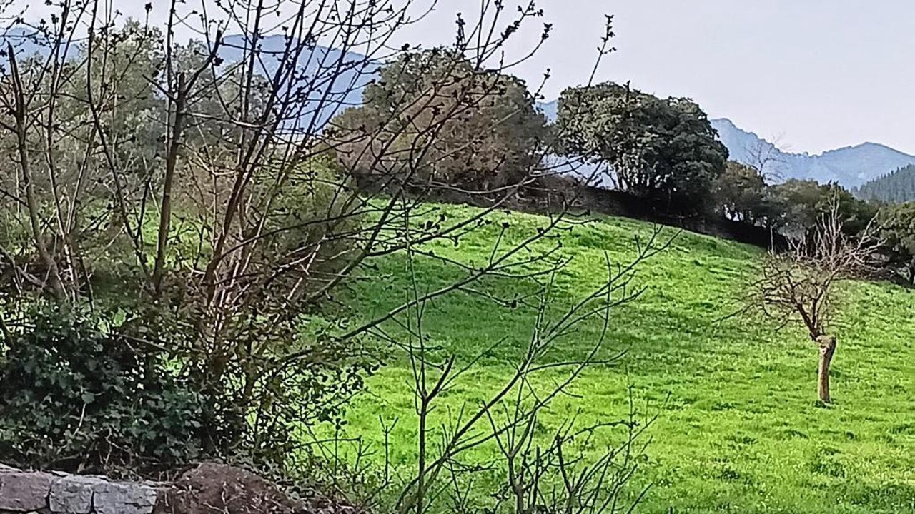 Photo of Others in Cabezon de Liebana