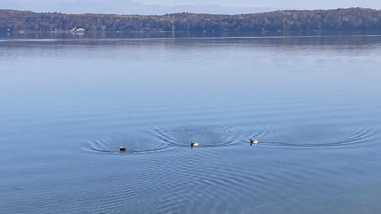Photo of Others in Lake Township