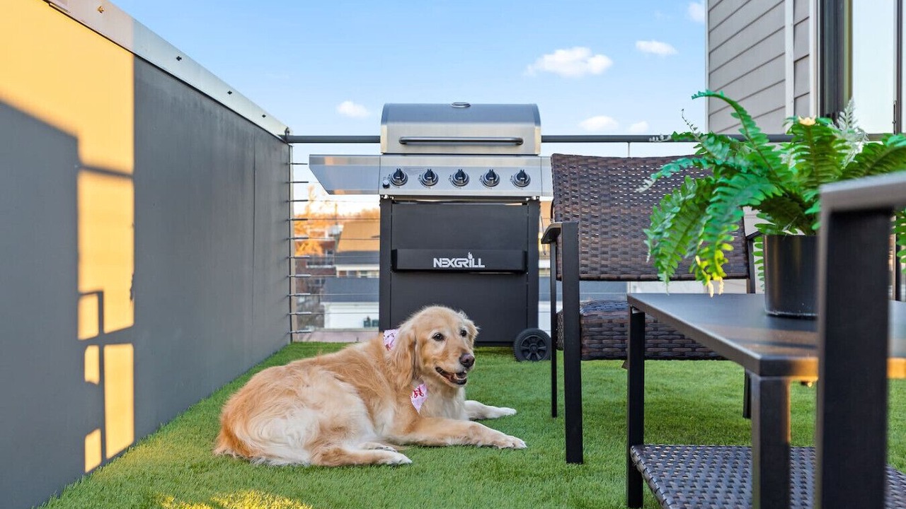 Photo of Outdoor in Downtown Chattanooga