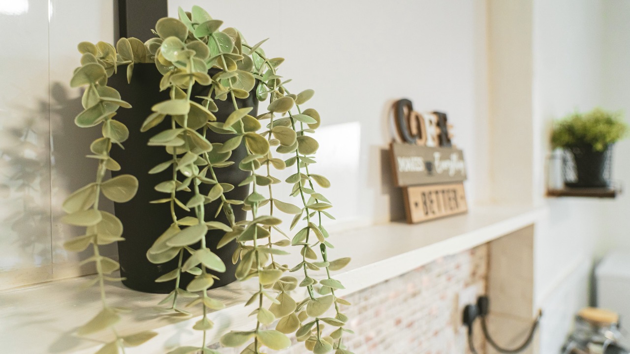 Photo of Outdoor in Splott