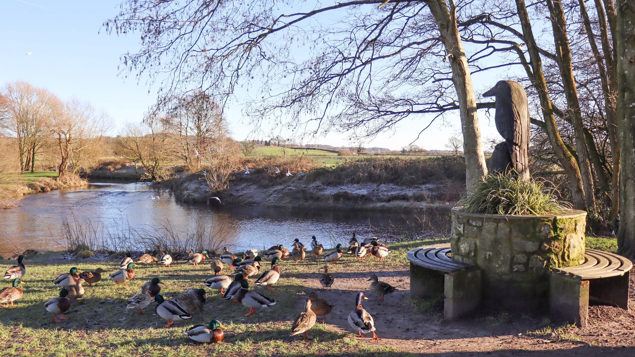 Photo of Outdoor in Garstang