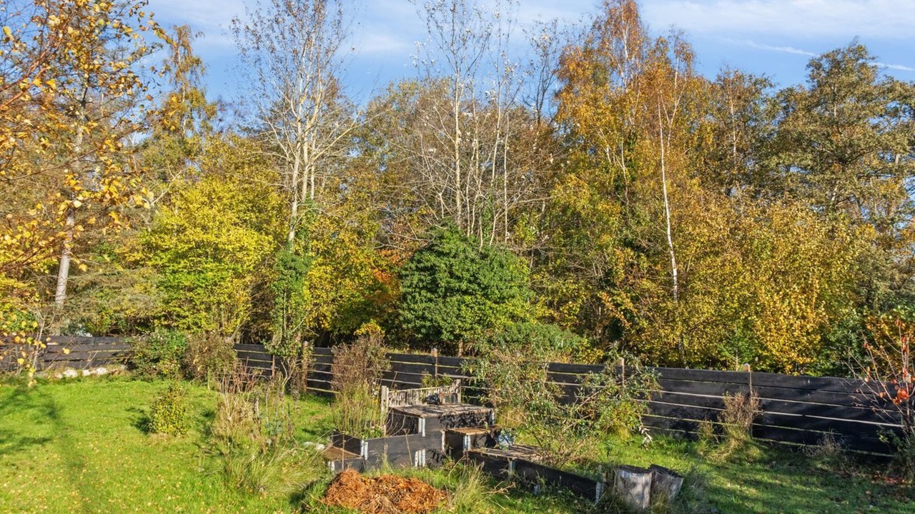Photo of Others in Gedesby