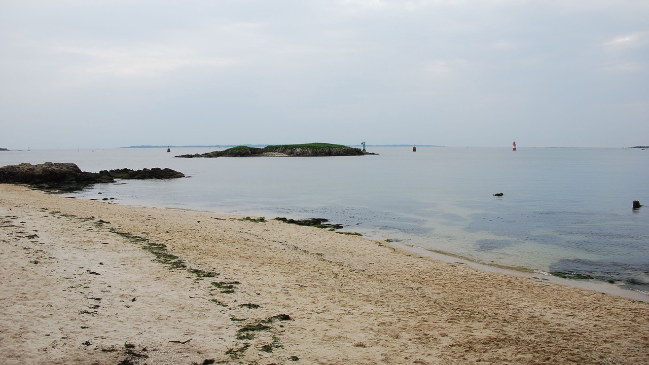 Photo of Others in Port-Louis