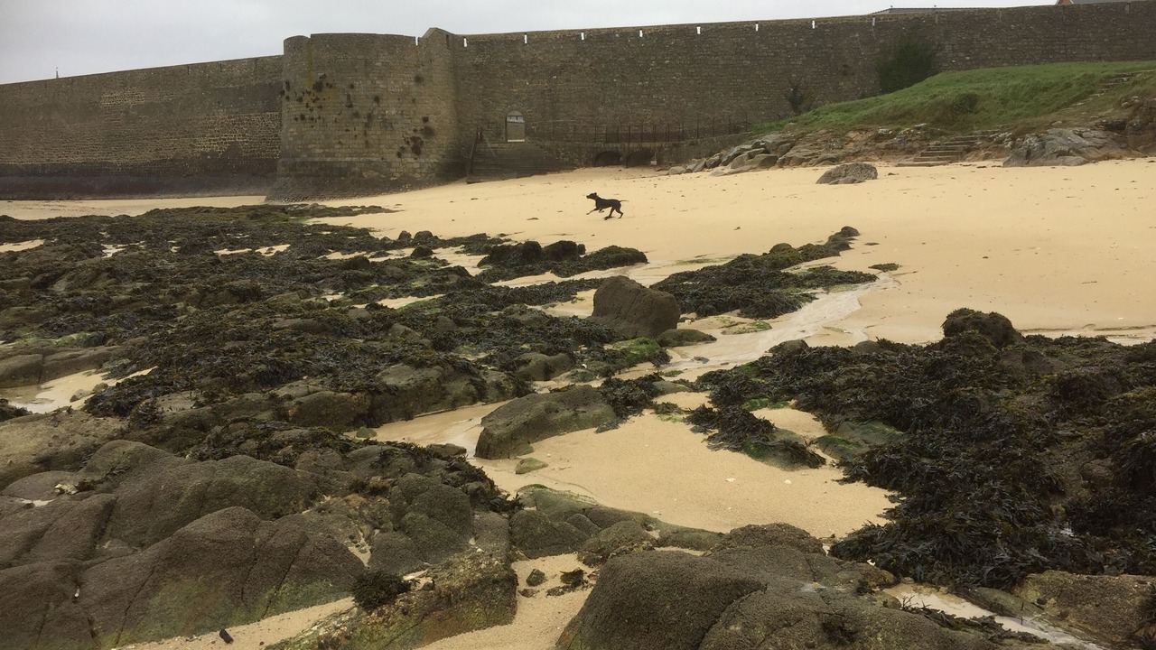 Photo of Outdoor in Port-Louis