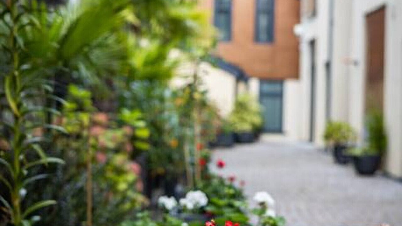 Photo of Patio Balcony in Penarth