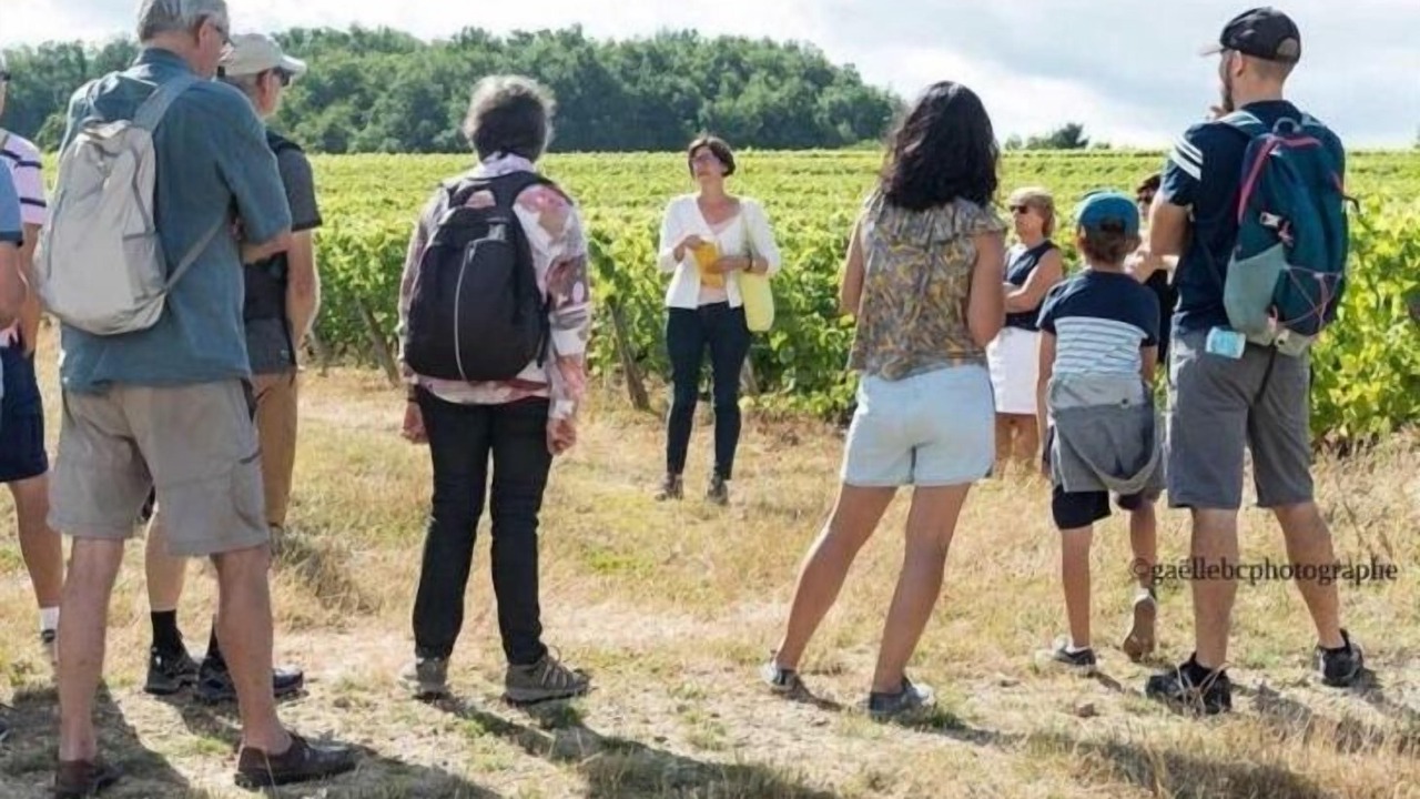 Photo of Others in Amboise