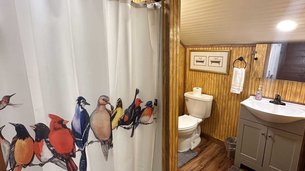 Photo of Bathroom in Shenandoah