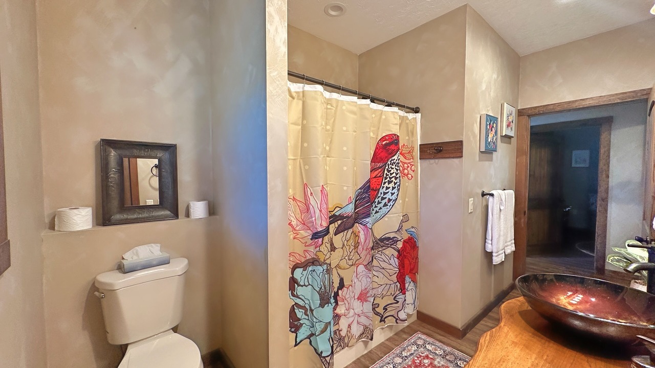 Photo of Bathroom in Shenandoah