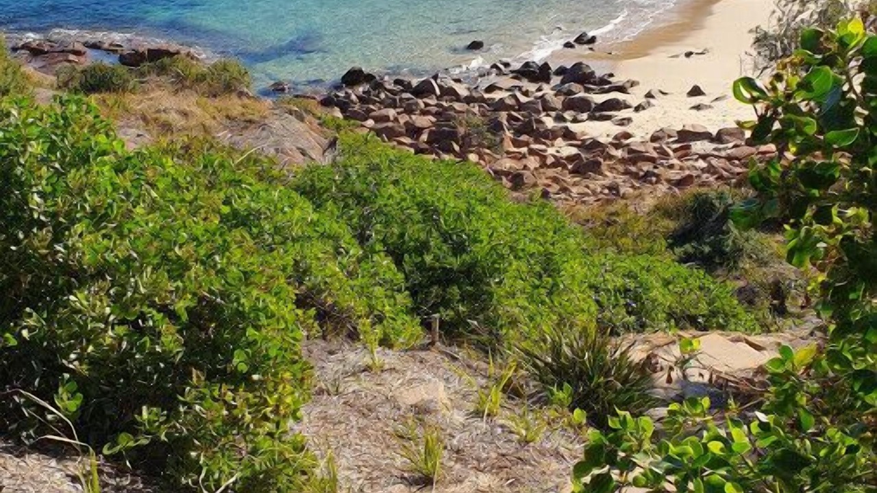 Photo of Others in Boat Harbour