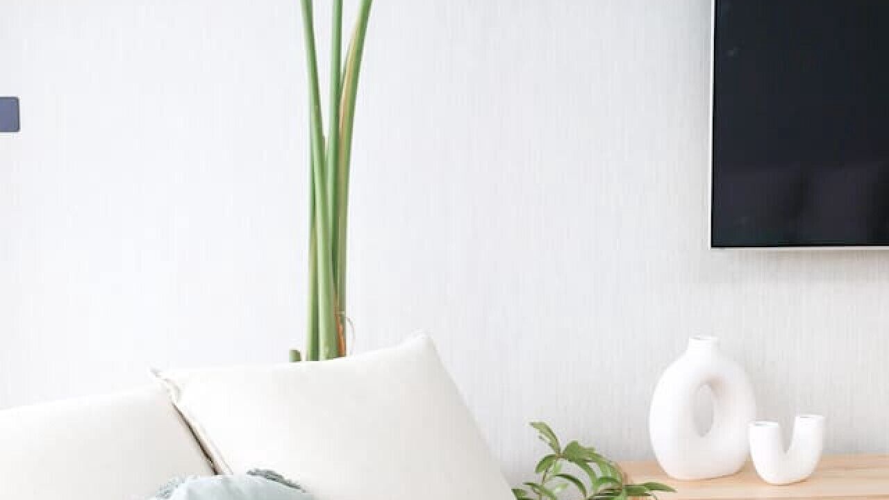 Photo of Bedroom in Boat Harbour