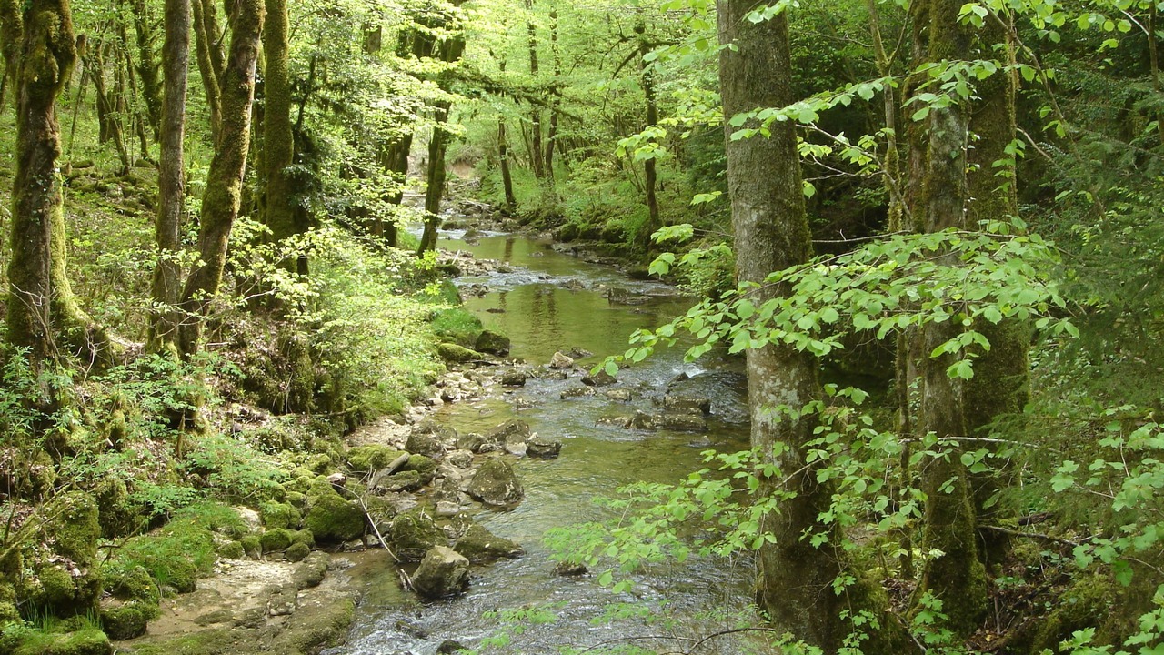 Photo of Outdoor in Saint-Claude