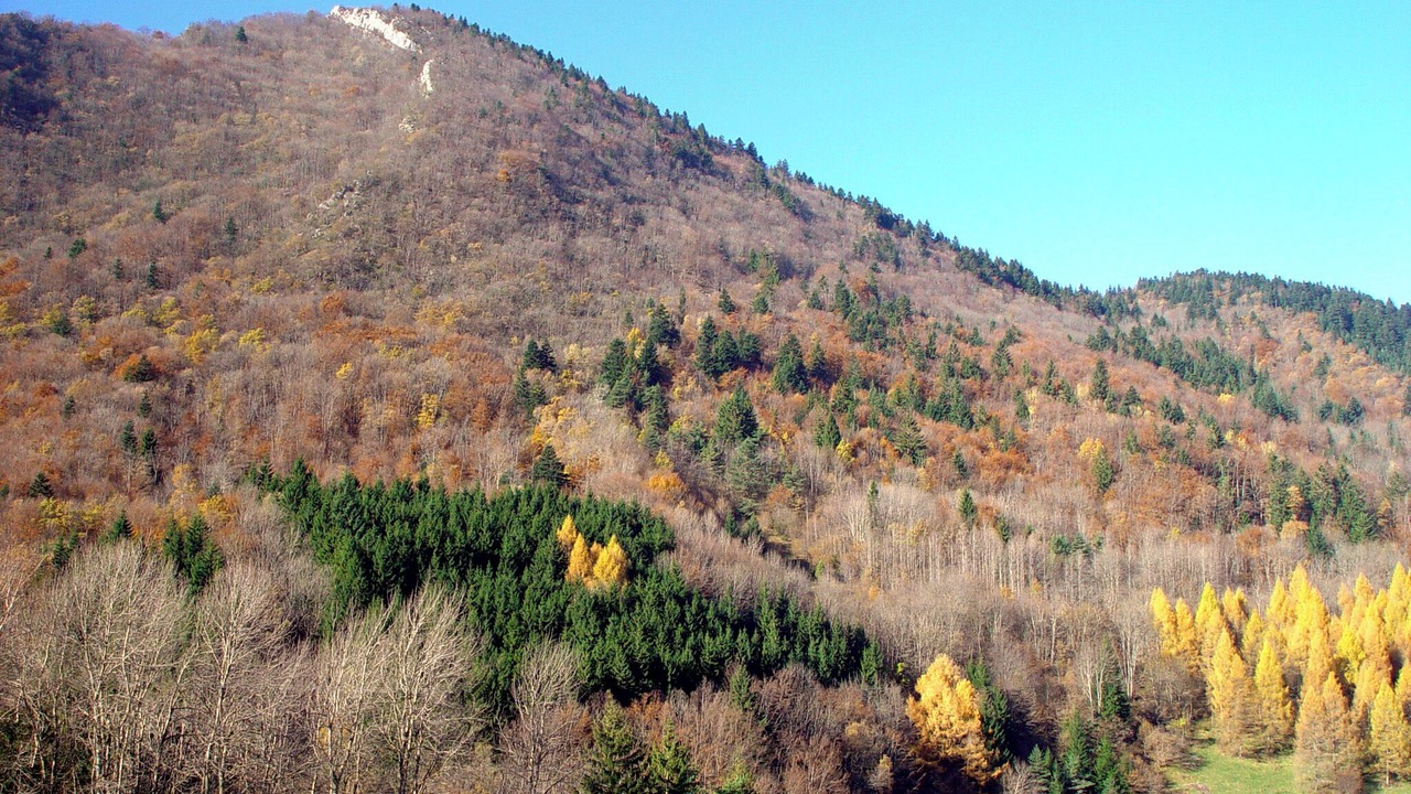 Photo of Others in Le Sappey-en-Chartreuse