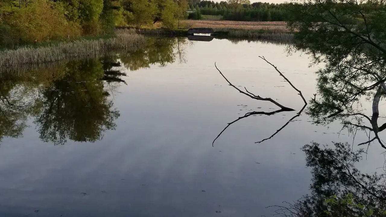 Photo of Outdoor in Leeds and the Thousand Islands