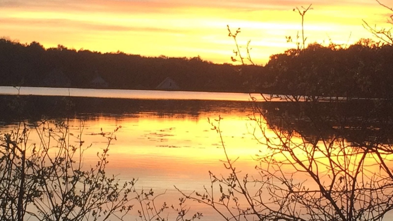 Photo of Others in Toury-sur-Jour