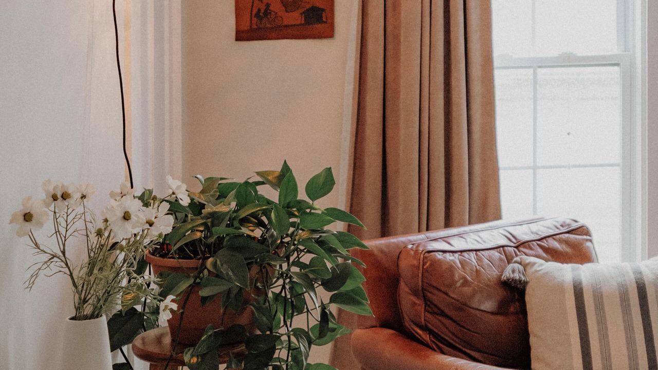 Photo of Livingroom in Greenfield