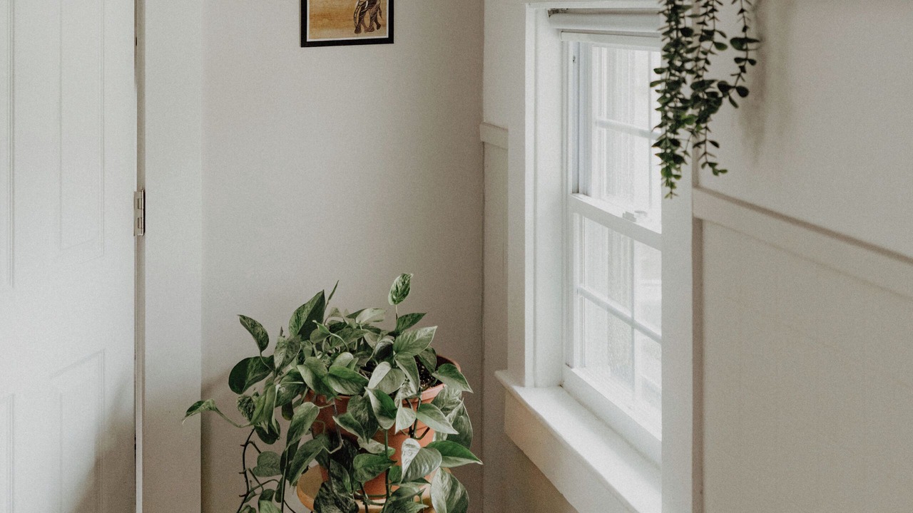 Photo of Others in Greenfield