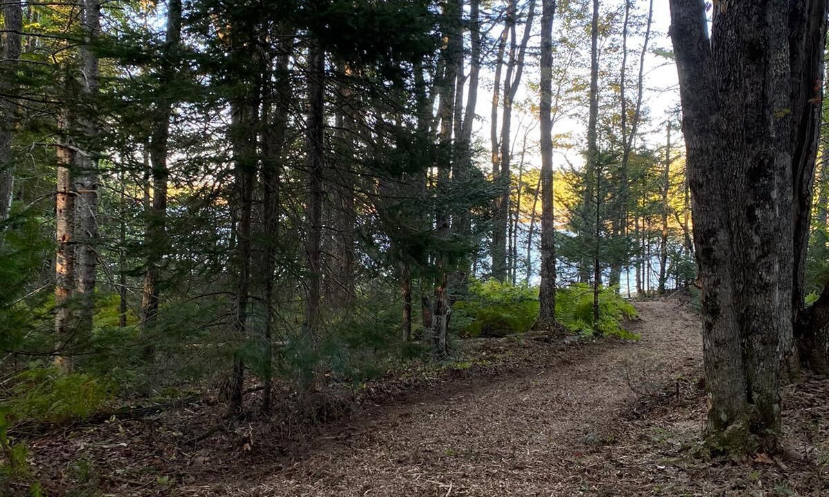 Photo of Outdoor in Lamoine