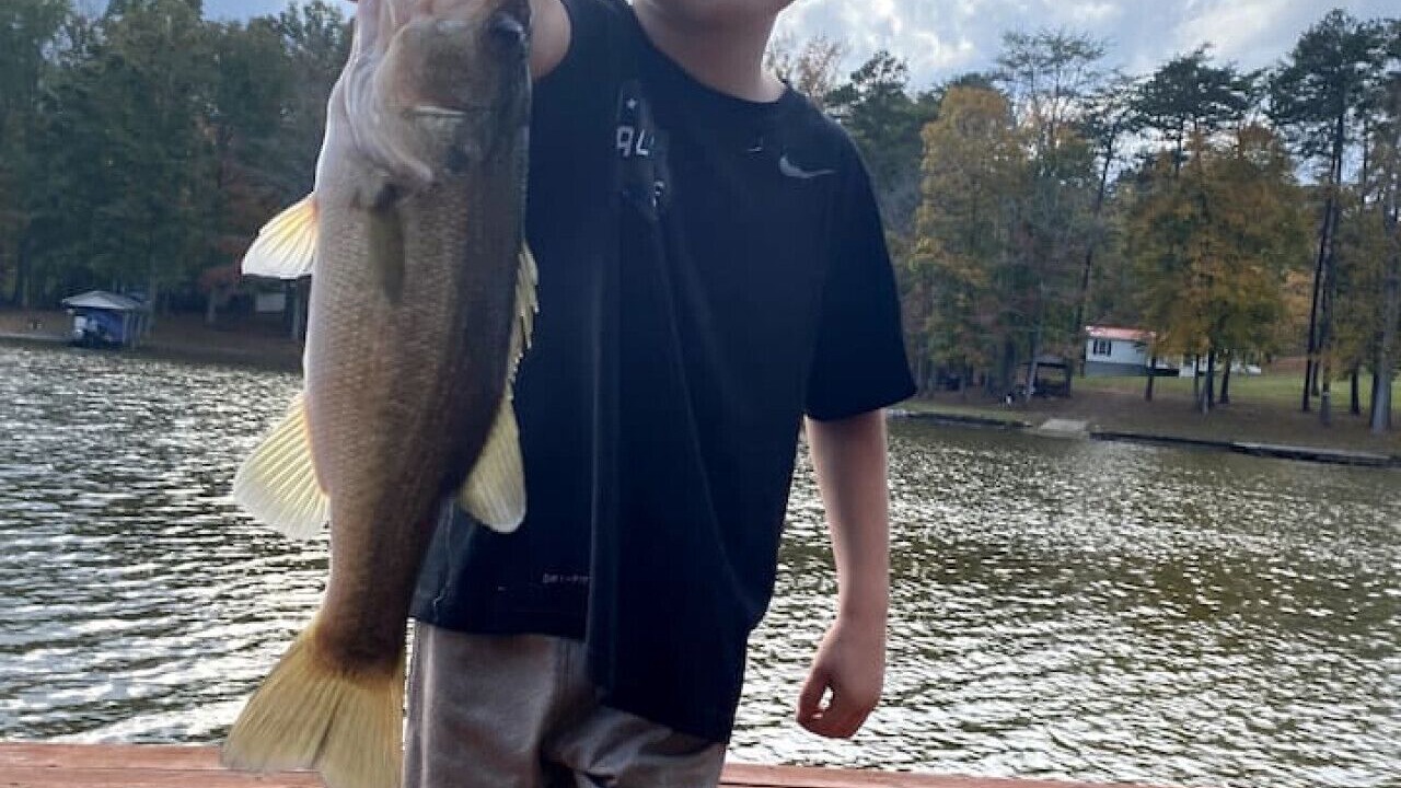 Photo of Others in Roxboro