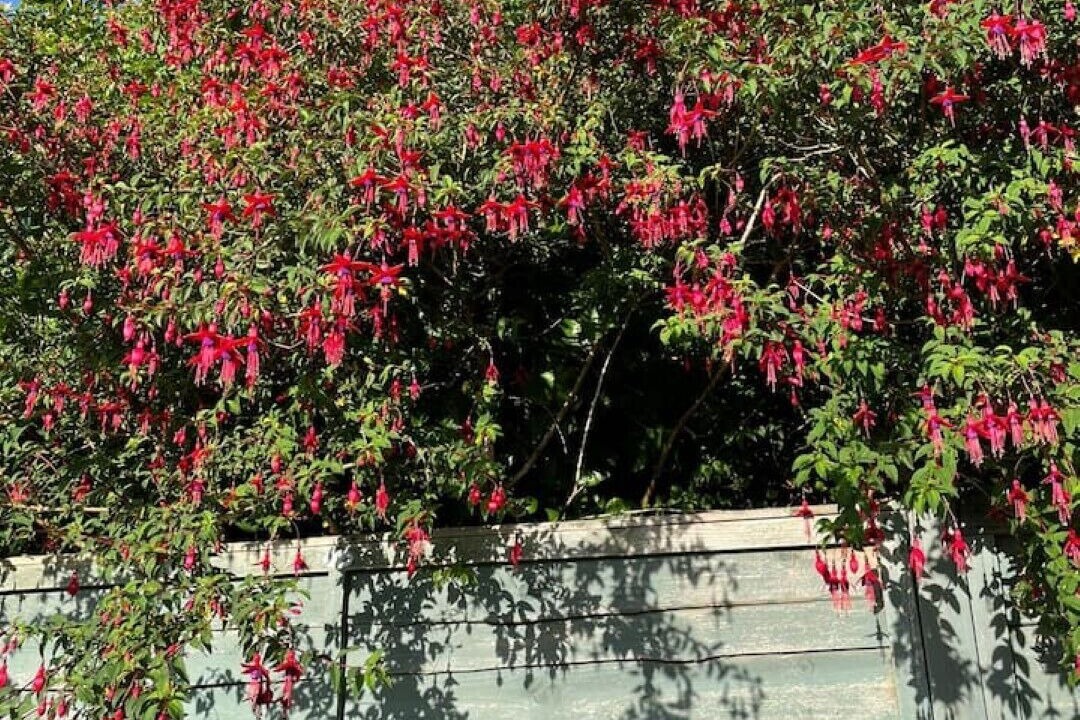 Photo of Outdoor in Camborne