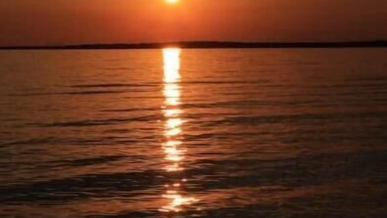 Photo of Others in Northern Bruce Peninsula