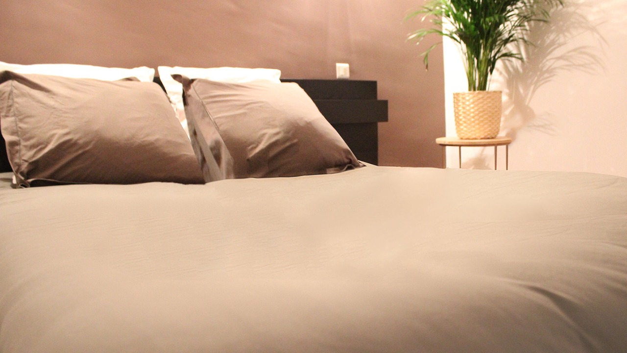 Photo of Bedroom in Auch