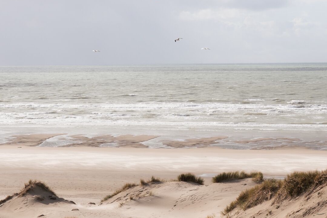 Photo of Others in Saint-Quentin-en-Tourmont