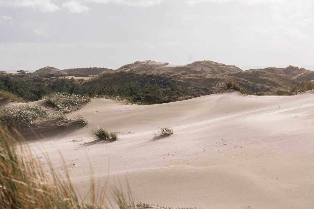 Photo of Others in Saint-Quentin-en-Tourmont