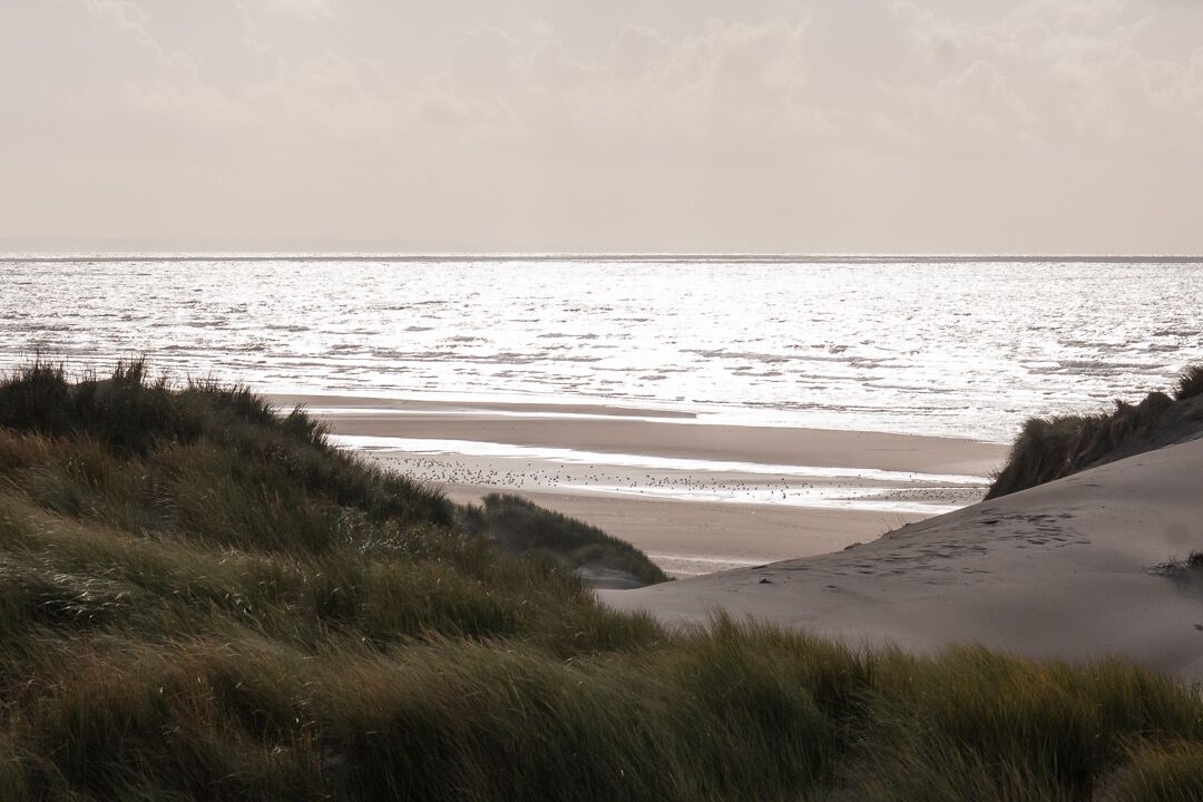 Photo of Others in Saint-Quentin-en-Tourmont