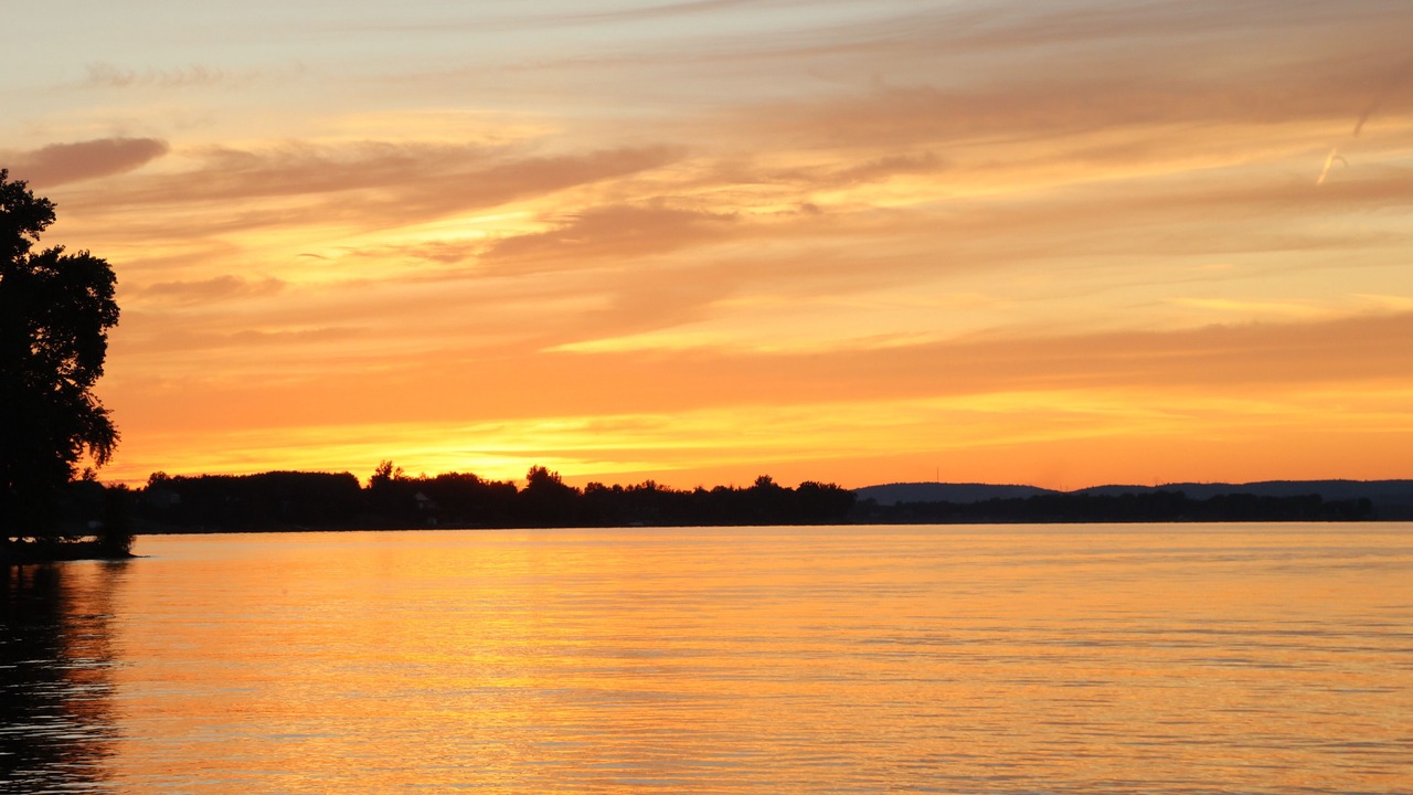 Photo of Others in Champlain