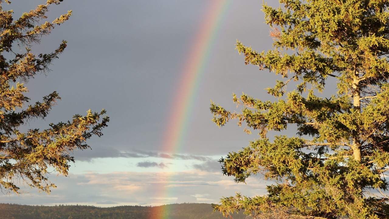Photo of Others in Champlain