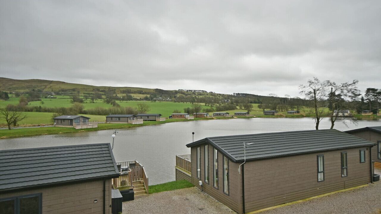 Photo of Others in Fence