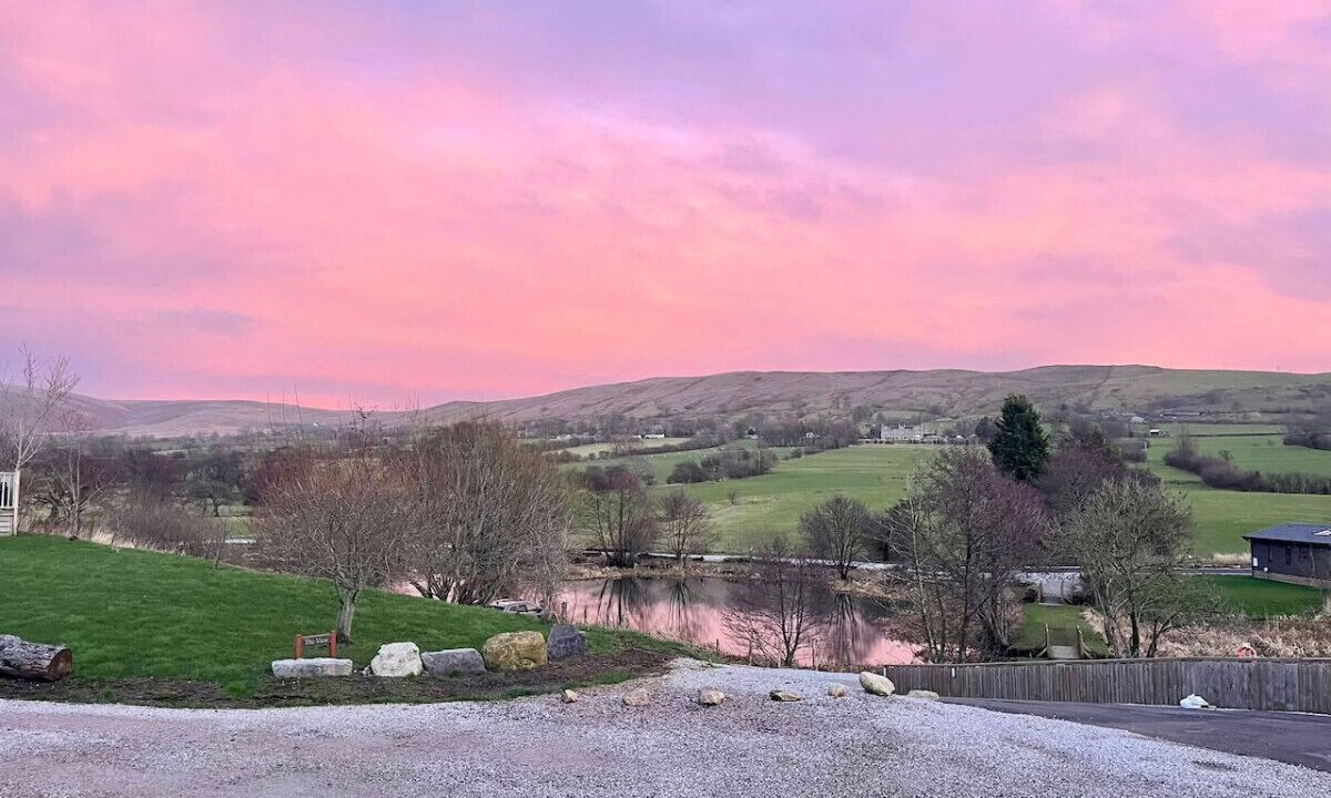 Photo of Others in Fence