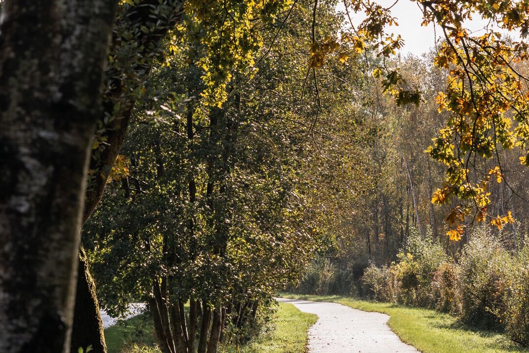Photo of Outdoor in Saint-Quentin-en-Tourmont