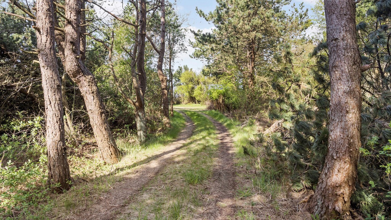 Photo of Others in Hurup Thy