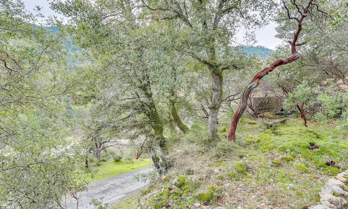 Photo of Others in Burnt Ranch