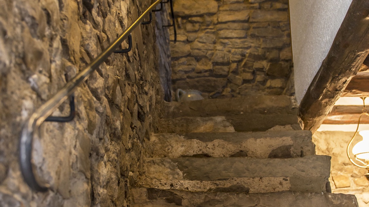 Photo of Others in Bellmunt d'Urgell