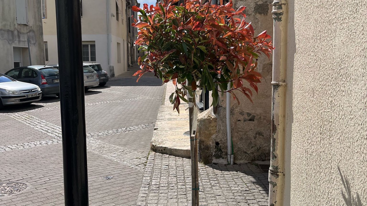 Photo of Patio Balcony in Clairac