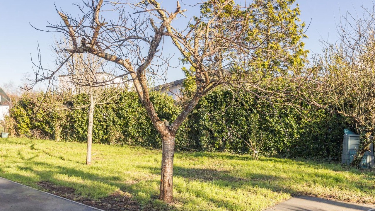 Photo of Outdoor in Montmartin-sur-Mer