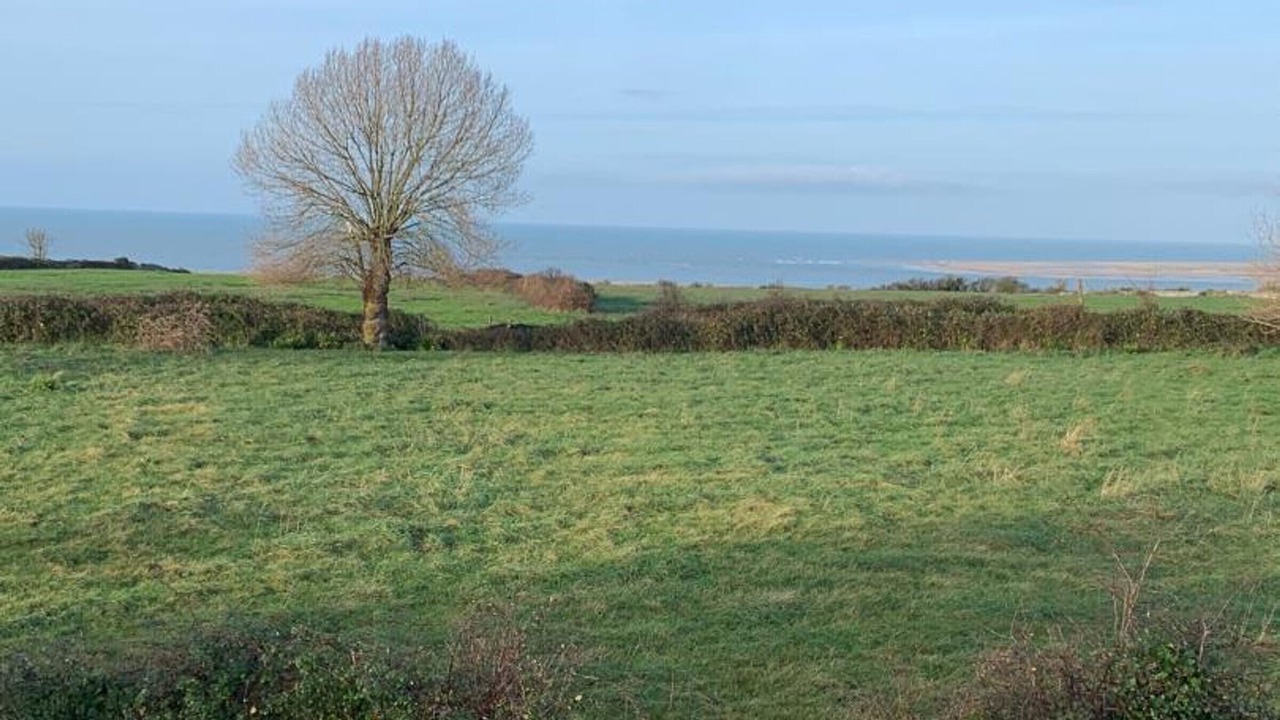 Photo of Others in Montmartin-sur-Mer