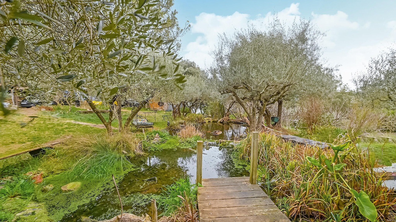 Photo of Others in Sommieres