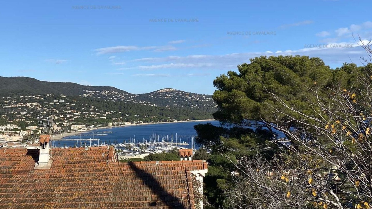 Photo of Others in Cavaliere