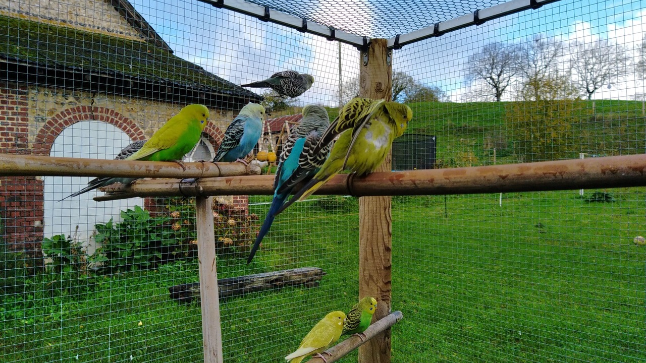 Photo of Outdoor in Fecamp